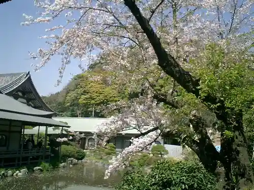 光明寺の庭園