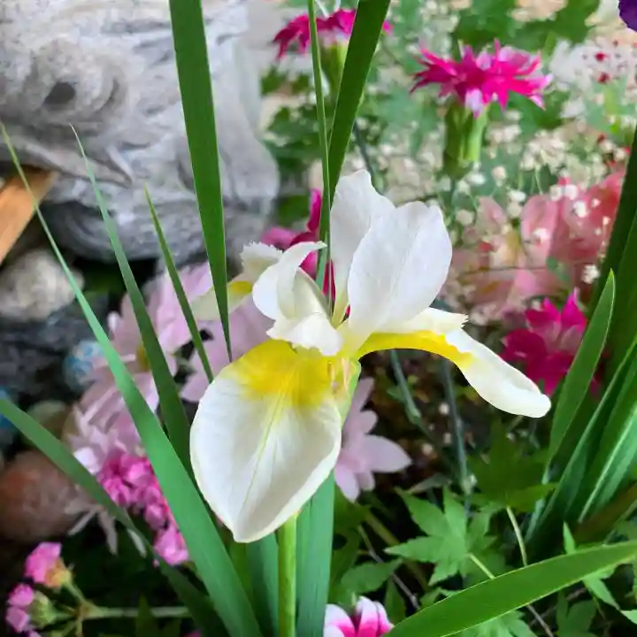 滑川神社 - 仕事と子どもの守り神の手水舎