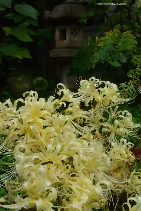 宝蔵院(東京都)