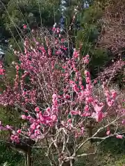 龍尾神社の自然