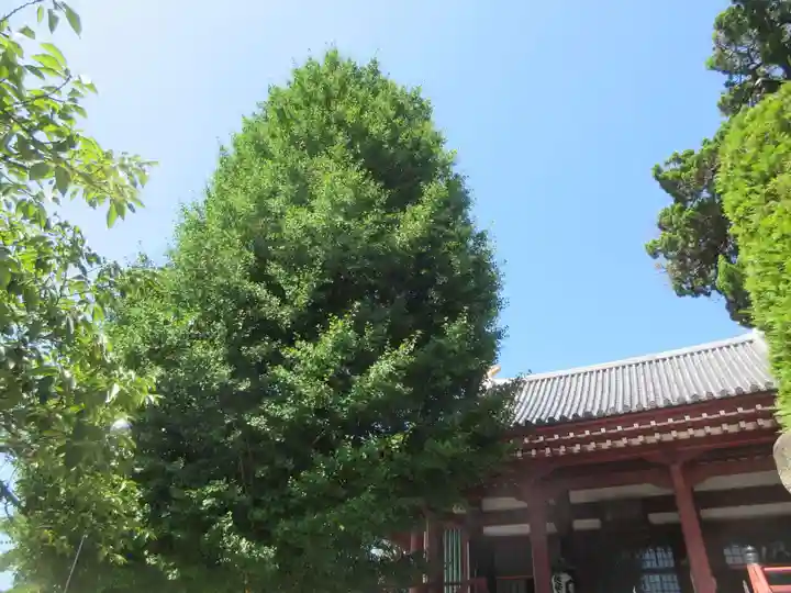 長安寺(神奈川県)