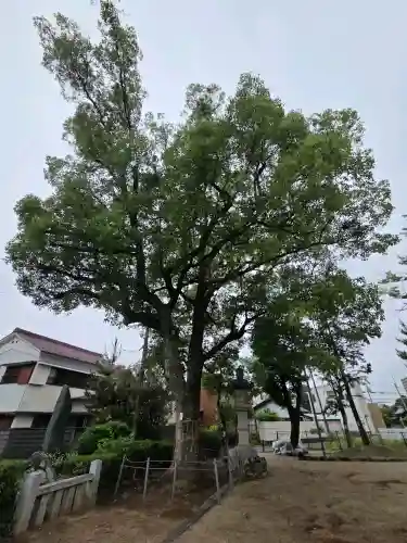 本莊神社(岐阜県)