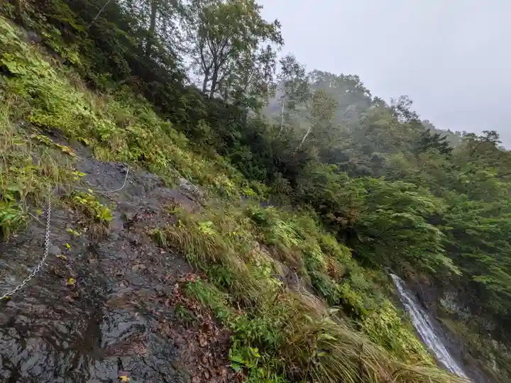 戸隠神社奥社の自然