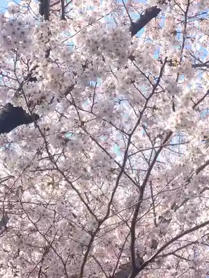 足高神社の自然
