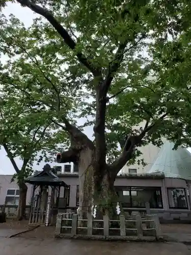 阿邪訶根神社の自然