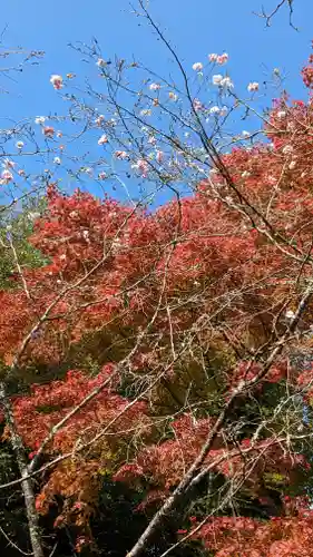 二尊院(京都府)