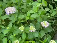 大生郷天満宮の自然