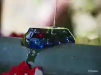 岡寺(龍蓋寺)(奈良県)