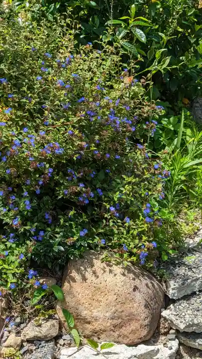 泉妙院(京都府)