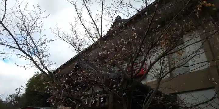 車折神社(京都府)