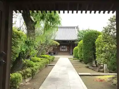蓮光寺の本殿・本堂