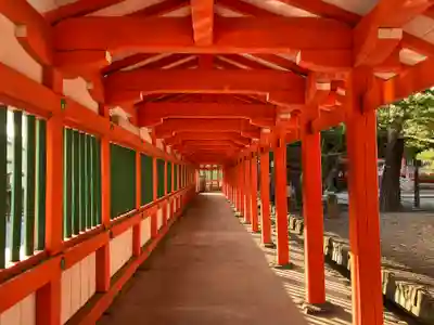 日御碕神社(島根県)