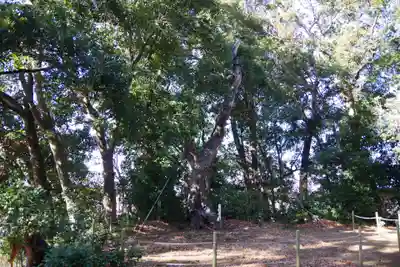 素鵞神社の自然