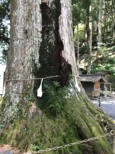 山住神社のその他建物