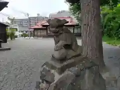 八坂神社の狛犬