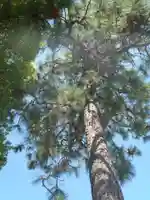 陽龍寺(愛知県)