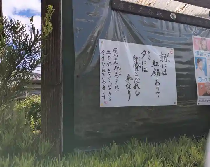 金乗寺(滋賀県)