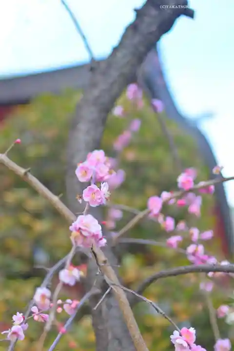 居木神社(東京都)