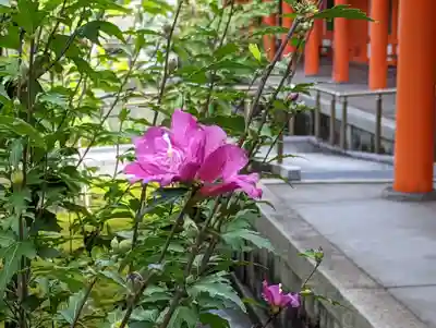 蓮華王院（三十三間堂）(京都府)