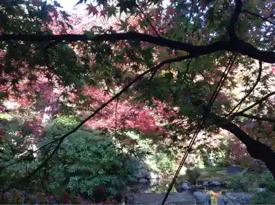 実相院門跡(京都府)