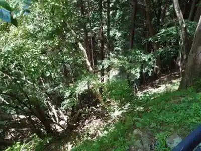 大嶽山那賀都神社(山梨県)