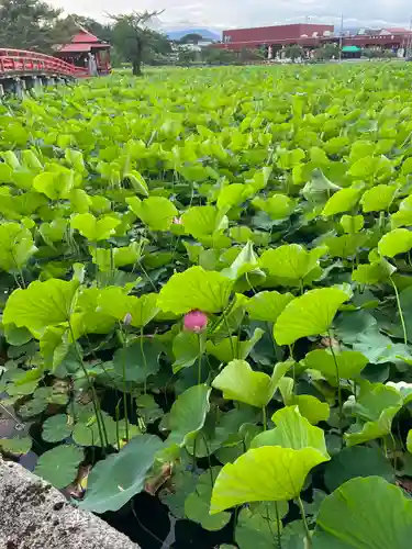 猿賀神社の自然