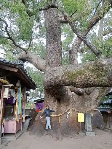 三島神社の自然