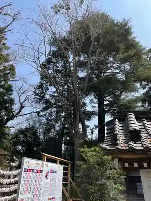 麻賀多神社(千葉県)