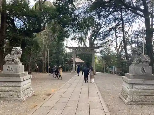 谷保天満宮の狛犬