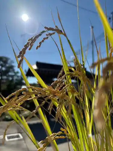 大鏑神社(福島県)