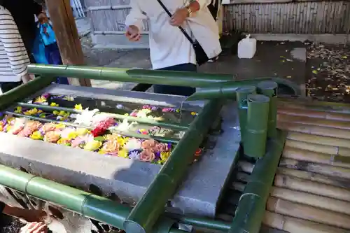 水無瀬神宮(大阪府)