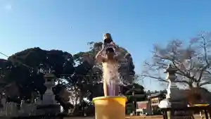 蓮久寺の体験その他(2021年01月22日(金) 11時20分51秒投稿)