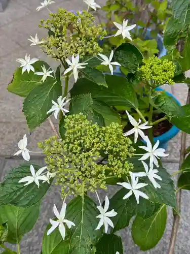 松嶺院(神奈川県)