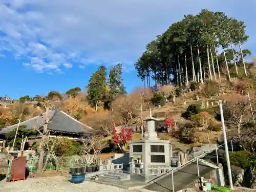 龍源寺(静岡県)