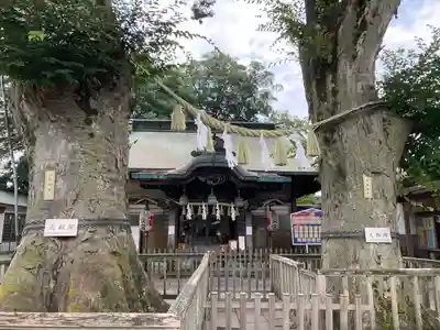 熊野宮(東京都)