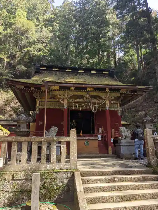 鳳来山東照宮の本殿・本堂