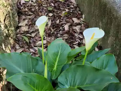 印南住吉神社の自然