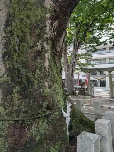 阿邪訶根神社(福島県)