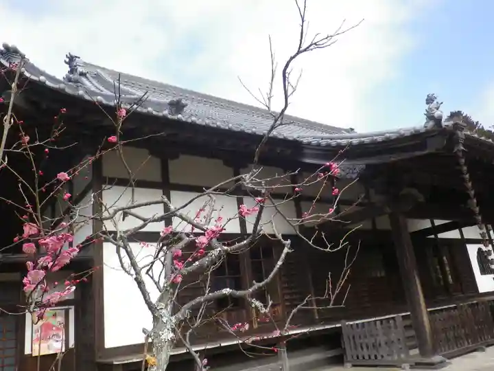 浄光明寺の本殿・本堂