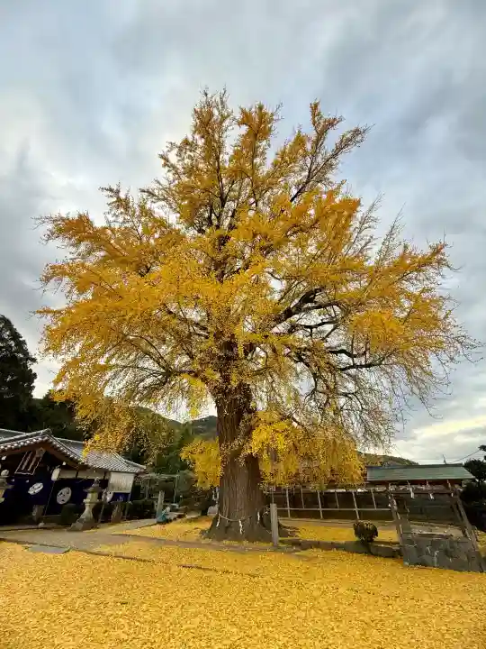 丹生酒殿神社(和歌山県)