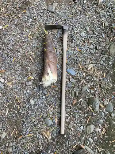 白山神社の自然