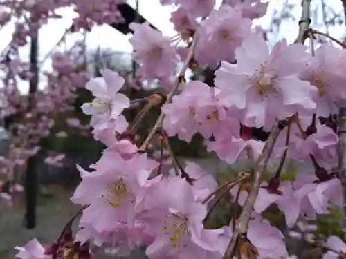 木田神社(福井県)