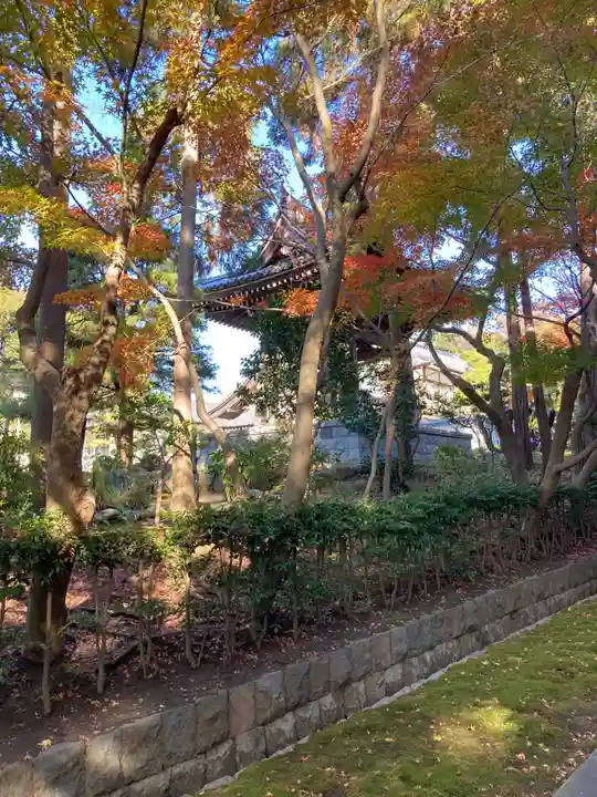 天嶽院(神奈川県)