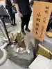 小網神社(東京都)