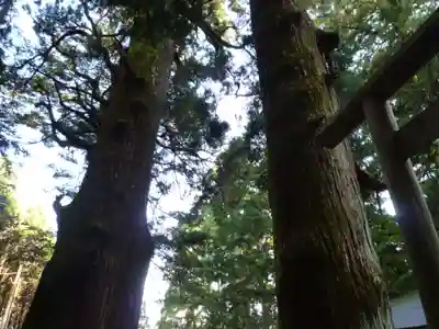 福王神社の自然