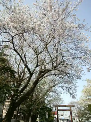 豊平神社(北海道)