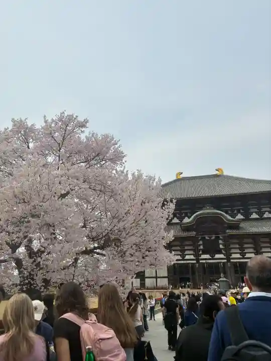 東大寺の{uncategorized: "未分類", other: "その他", undefined: "問題あり", building: "その他建物", grave: "お墓", sacred_gate: "鳥居", guardian: "狛犬", statue: "像", buddha: "仏像", history: "歴史", nature: "自然", garden: "庭園", animal: "動物", pagoda: "塔", temizu: "手水舎", mountain_gate: "山門・神門", sanctuary: "本殿・本堂", subordinate: "末社・摂社", art: "芸術", scenery: "景色", jizo: "地蔵", ema: "絵馬", goshuin: "御朱印", omikuji: "おみくじ", items: "授与品その他", amulet: "お守り", goshuincho: "御朱印帳", eats: "食事", festival: "お祭り", votive_dance: "神楽", shichigosan: "七五三参", wedding: "結婚式", experience: "体験その他", initially: "初詣", around: "周辺", anti_infection: "感染症対策"}