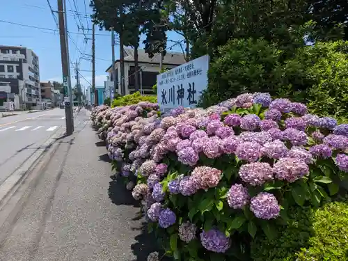 相模原氷川神社(神奈川県)