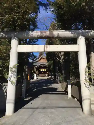 猿田彦神社の鳥居