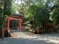 宇佐神宮(大分県)